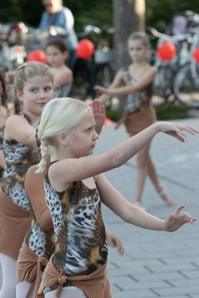 Schoolplein Festival A142.jpg